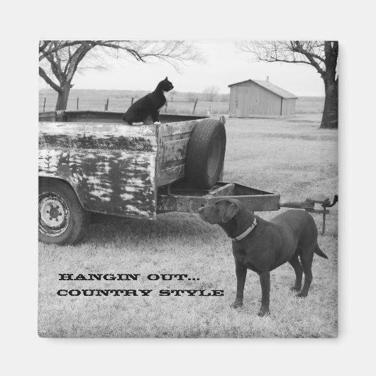 半額アウト磁石 マグネット (正面)