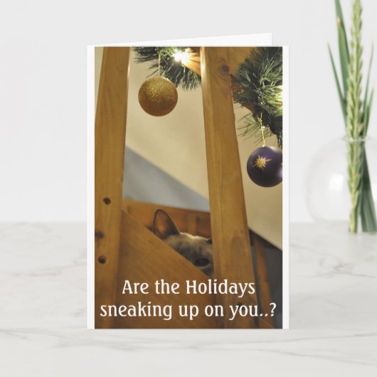 卑劣なシャム シーズンカード (正面)