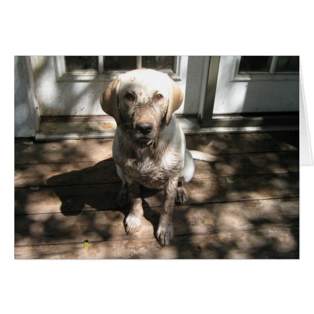 卑劣な奴 (正面横)