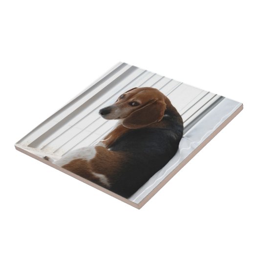 卑劣な態度 タイル (側面)