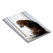 卑劣な態度 ノートブック (右側)