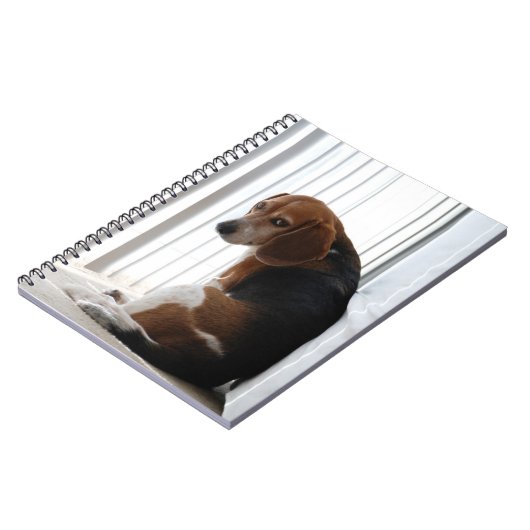 卑劣な態度 ノートブック (左側)