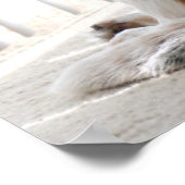 卑劣な態度 ポスター (角)