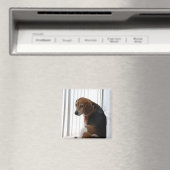 卑劣な態度 マグネット (インサイチュ (食洗機))