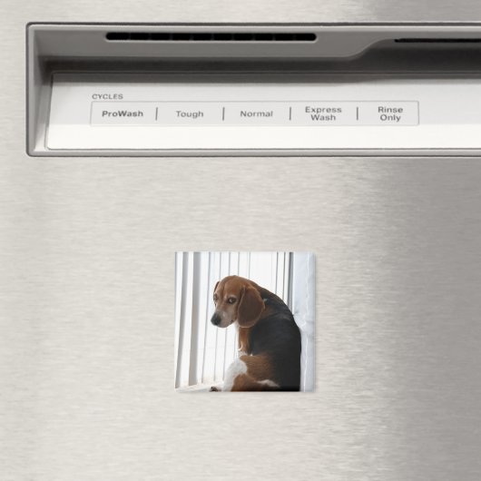 卑劣な態度 マグネット (インサイチュ (食洗機))