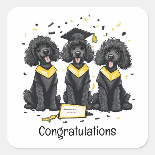 卒業おめでとうございますスタンダードプードル犬 スクエアシール (正面)