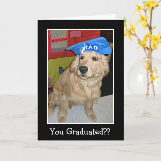 卒業おもしろいしたゴールデンレトリバー カード (黄色い花)
