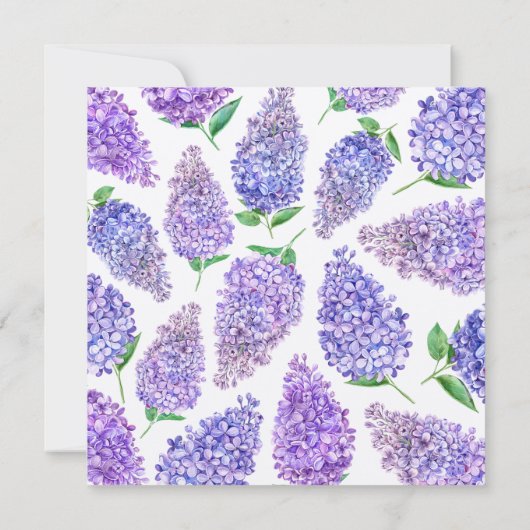 卒業お茶娘むらさきワルビス 招待状 (裏面)