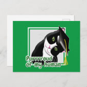 卒業ねこ ポストカード (正面/裏面)