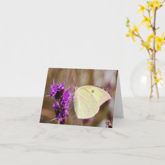 卒業のための蝶感動的と カード (黄色い花)