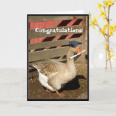 卒業のガチョウ カード (黄色い花)