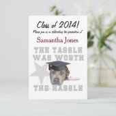 卒業のピットブル犬 招待状 (スタンド正面)