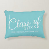 卒業カスタム又は懇親会アクアの種類 アクセントクッション (正面)