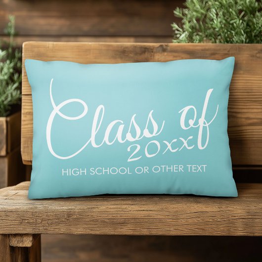 卒業カスタム又は懇親会アクアの種類 アクセントクッション