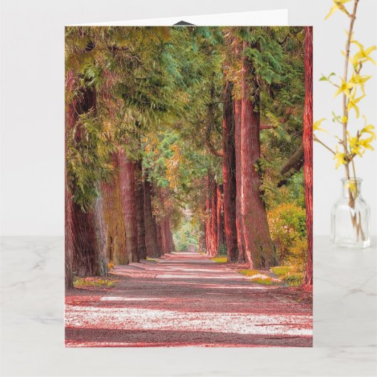 卒業カード カード (黄色い花)