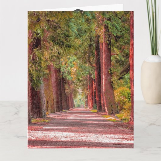 卒業カード カード (正面)