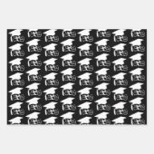 卒業クラスの卒業生カスタムの色 ラッピングペーパーシート (正面2)