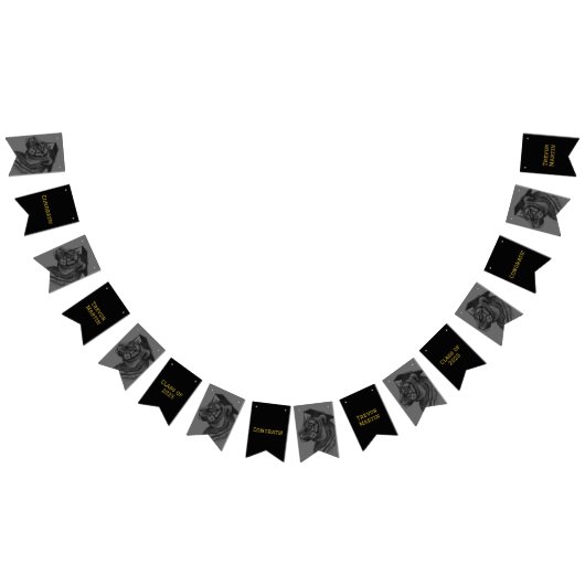 卒業パーティーの旗 バンティングフラッグ (全)