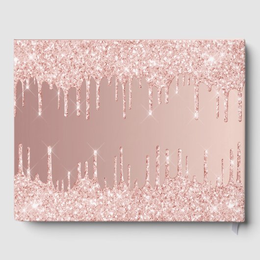 卒業パーティーバラ金ゴールドピンクのドライブ名 ゲストブック (裏面)