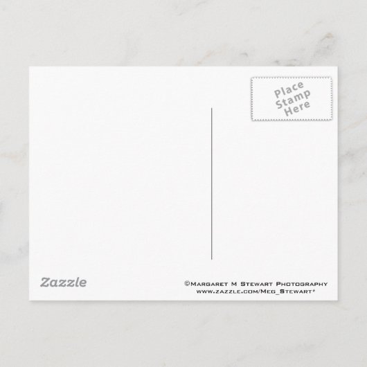 卒業ポストカードの保存 案内ポストカード (裏面)