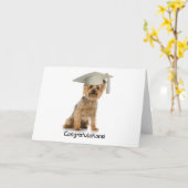 卒業ヨークシャーテリアおめでとう カード (黄色い花)