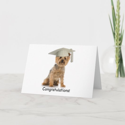 卒業ヨークシャーテリアおめでとう カード (正面)
