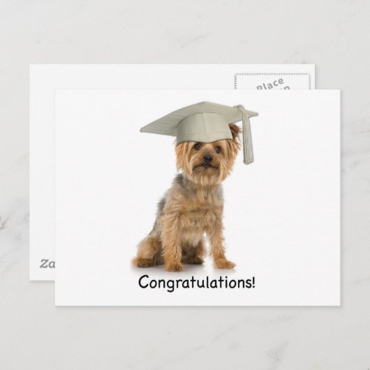 卒業ヨークシャーテリアおめでとう 案内ポストカード (正面/裏面)