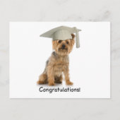 卒業ヨークシャーテリアおめでとう 案内ポストカード (正面)