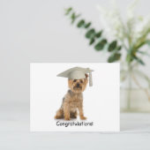 卒業ヨークシャーテリアおめでとう 案内ポストカード (スタンド正面)