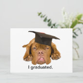 卒業帽をかぶった犬 招待状 (スタンド正面)