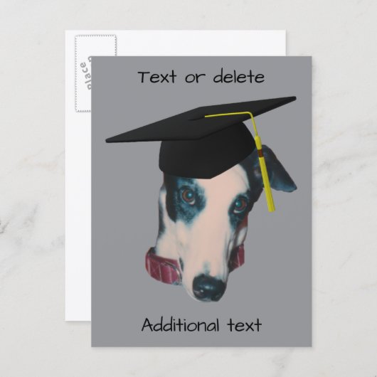 卒業帽をかぶった面白いグレイハウンド犬のパーソナライズされたグッズ 案内ポストカード (正面/裏面)