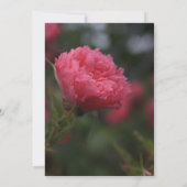 卒業式の招待状 招待状 (裏面)