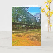 卒業式の日、大学、男性 カード (黄色い花)