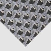 卒業式キャップと卒業証書 薄葉紙 (詳細)