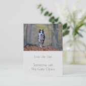 卒業犬やる気を起こさせる陽性引用文 ポストカード (スタンド正面)