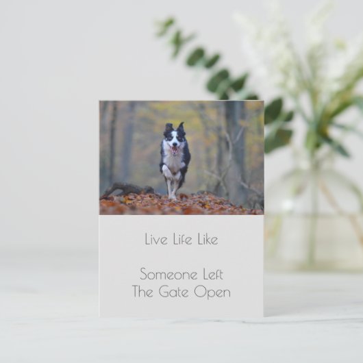 卒業犬やる気を起こさせる陽性引用文 ポストカード (スタンド正面)