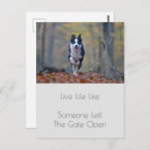 卒業犬やる気を起こさせる陽性引用文 ポストカード (正面/裏面)