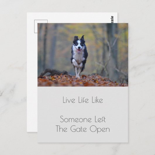 卒業犬やる気を起こさせる陽性引用文 ポストカード (正面/裏面)