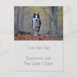 卒業犬やる気を起こさせる陽性引用文 ポストカード