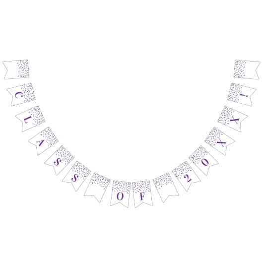 卒業生のクラス年の旗の紫色の銀製の紙吹雪 バンティングフラッグ (全)