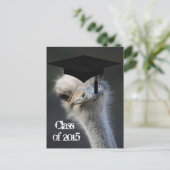 卒業発表 案内ポストカード (スタンド正面)