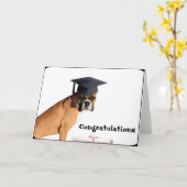 卒業祝いボクサー挨拶状 カード (黄色い花)