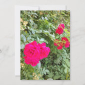 卒業記念懇親会招待状 招待状 (裏面)