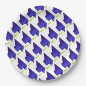 卒業高校、カレッジブルーキャップパターン ペーパープレート (正面)