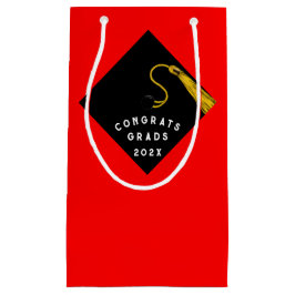 卒業2025おめでとう小抱き枕 スモールペーパーバッグ