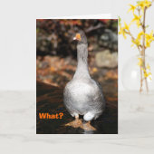 卒業 カード (黄色い花)