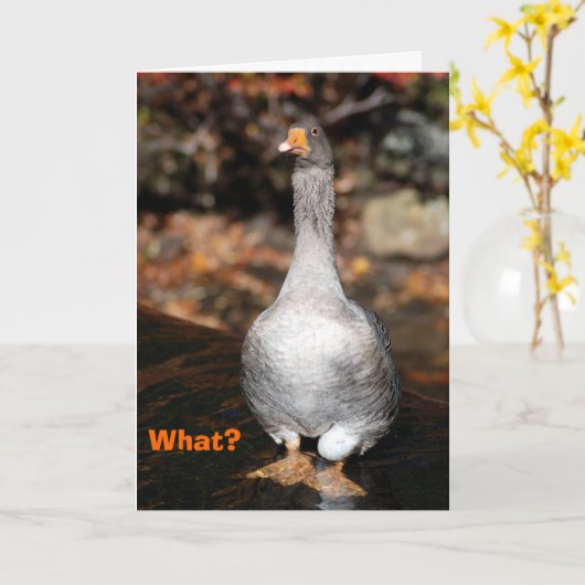 卒業 カード (黄色い花)