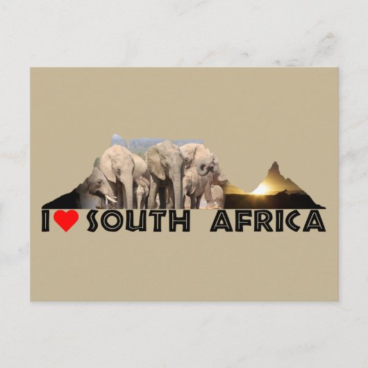 卓上山象ファミリー ポストカード (正面)