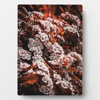 卓上花のプラーク フォトプラーク