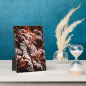 卓上花のプラーク フォトプラーク (側面)